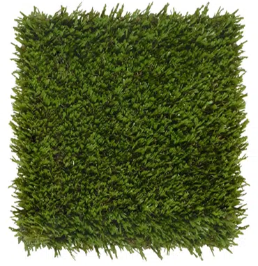 K9Grass Sport