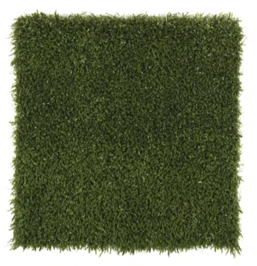 K9Grass Classic+