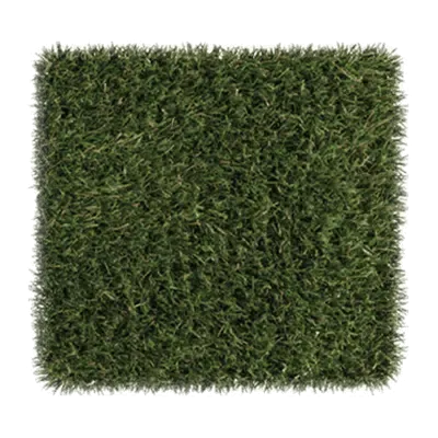 Fusion Pro turf