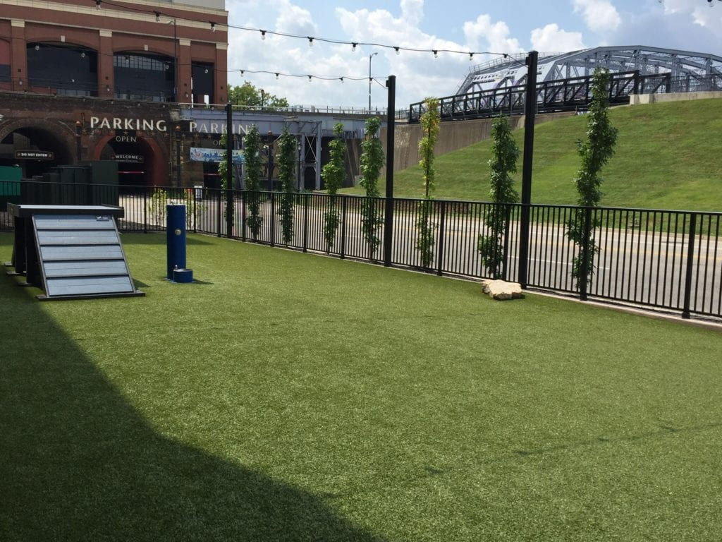 Apartment complex pet area