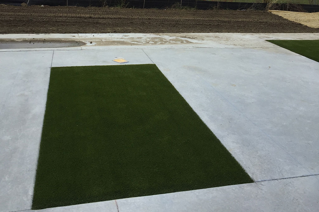 Petsuites - Image 3