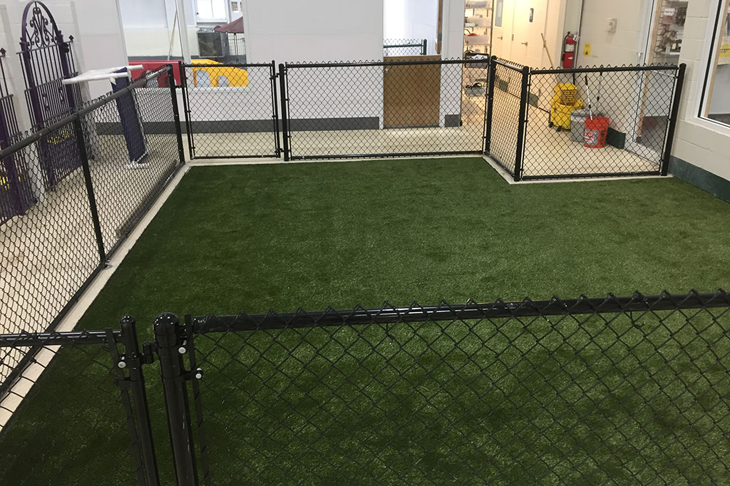 Petsuites - Image 5