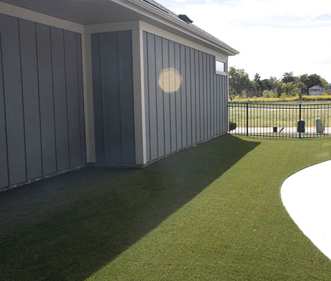 Shared Backyard - project crower lewis