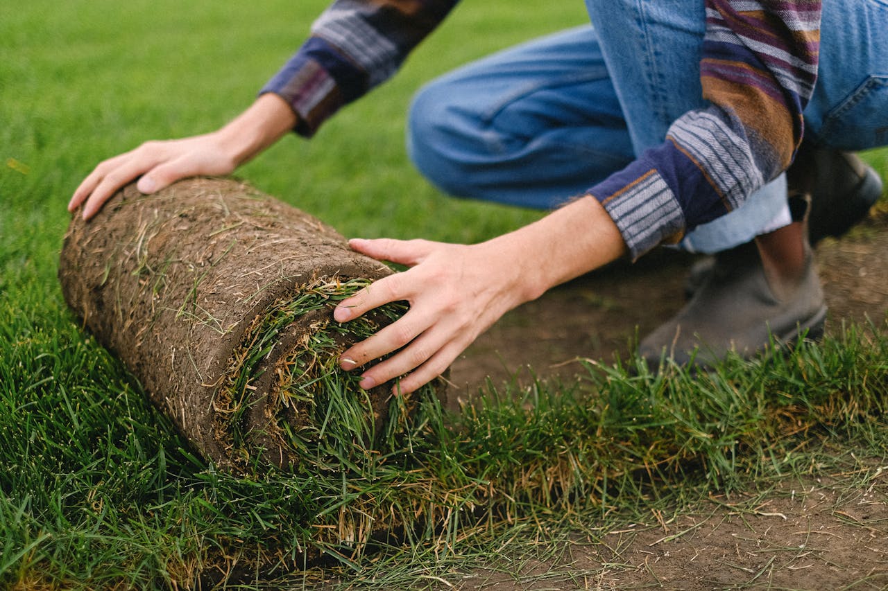 Why Ohio Homeowners Choose Backyard Turf Installation